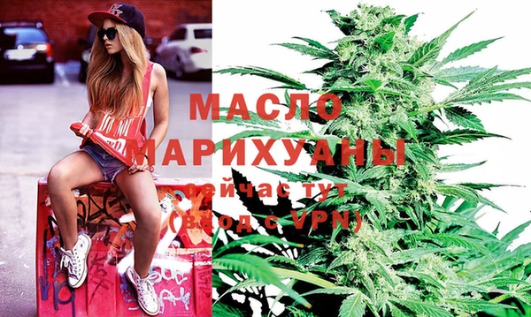 гашик Михайлов