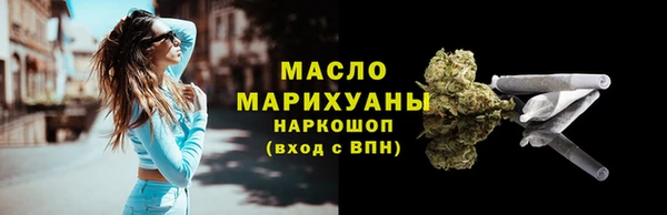 гашик Михайлов