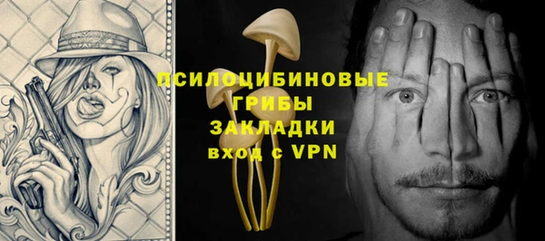 гашик Михайлов