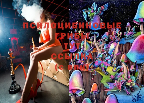 COCAINE Бикин